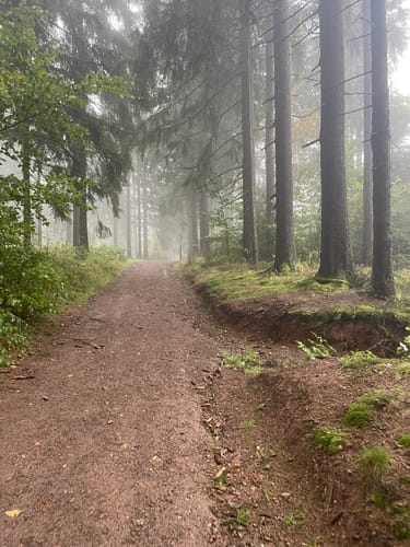 Sagenwanderweg zum Ruppberg