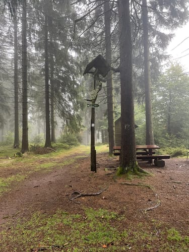 Sagenwanderweg zum Ruppberg