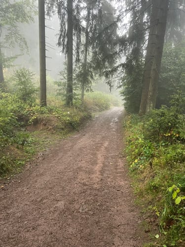 Sagenwanderweg zum Ruppberg