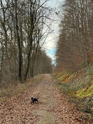 In der Eschershäuser Feldmark (Es 2)