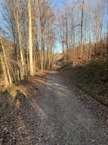 Von Altenberg nach Scheuren