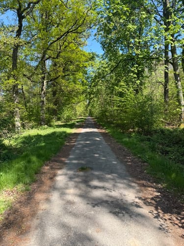 Rundweg um Hessloch