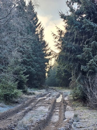 Vom Hochmoor ins Tal der Lieder (Hs 2)