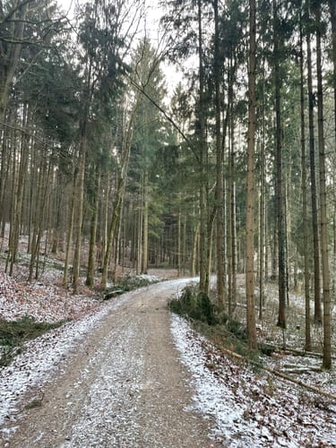 Naabtal zwischen Mariaort und Etterzhausen