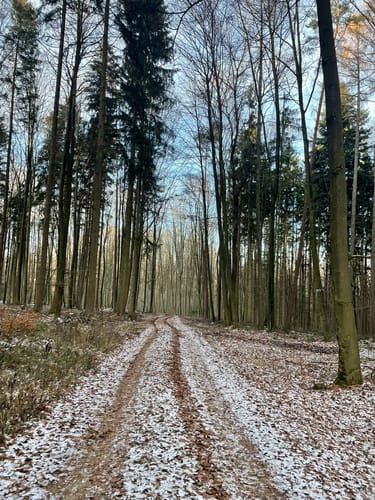 Naabtal zwischen Mariaort und Etterzhausen