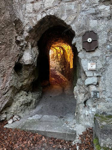 Zur Einhornhöhle und Burgruine Scharzfeld