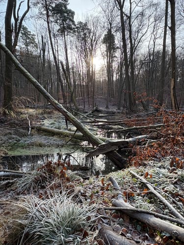 Rundweg Nonnenfließ