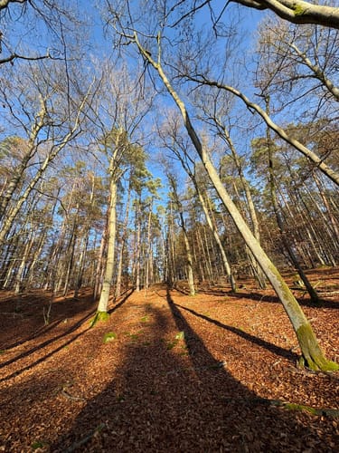 Rundweg Nonnenfließ