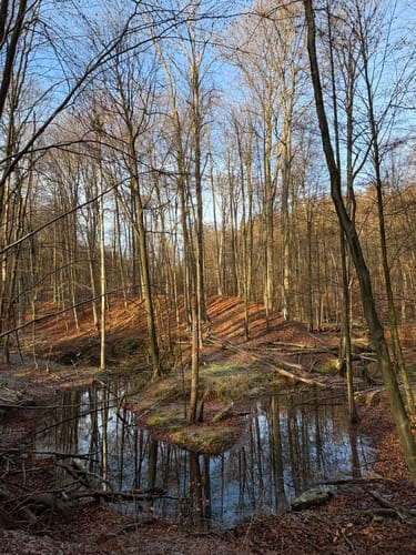Rundweg Nonnenfließ