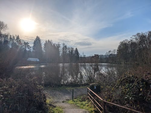 Schauinslandweg (Premiumwanderweg)