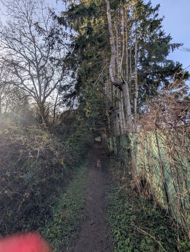 Schauinslandweg (Premiumwanderweg)