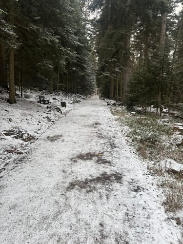Wildline Hängebrücke