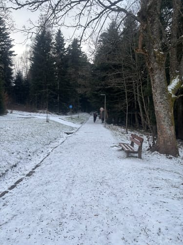 Wildline Hängebrücke