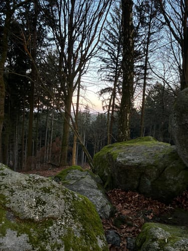 Götzenstein-Weg (Rundwanderweg 4)