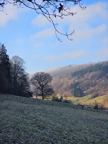 Vom Hochmoor ins Tal der Lieder (Hs 2)