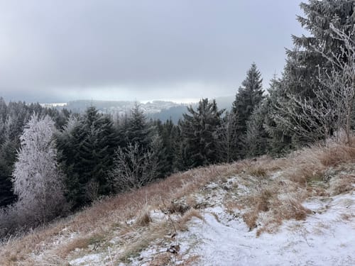 Rundweg zum Riesenbühlturm