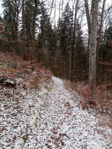 GrenzgängerWeg