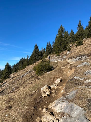 Almwanderung Goglalm