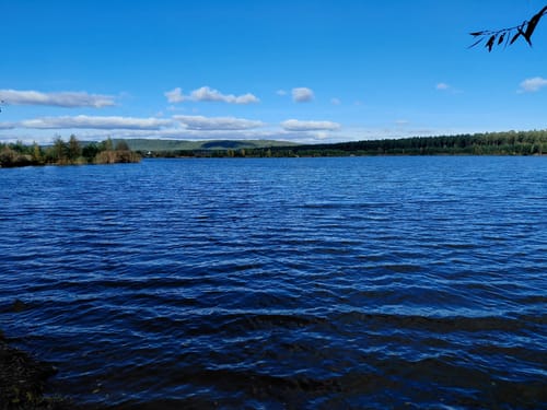 Um den Freizeitsee Dießfurt