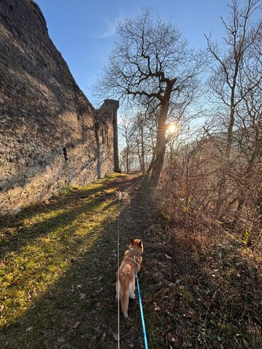 Von Eitelborn zum Schlossberg