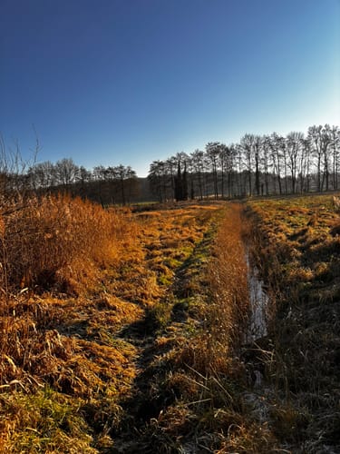 Zwei-Seen-Runde (Premiumwanderweg)