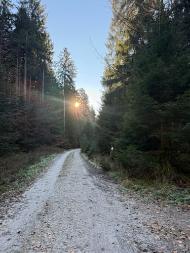 Hasselbrack Rundweg
