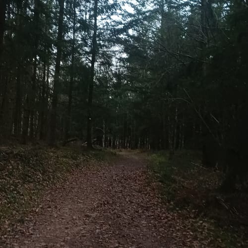 Maltitzweg
