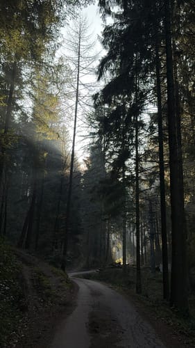Gebirger-Höfe-Weg (Premiumwanderweg)