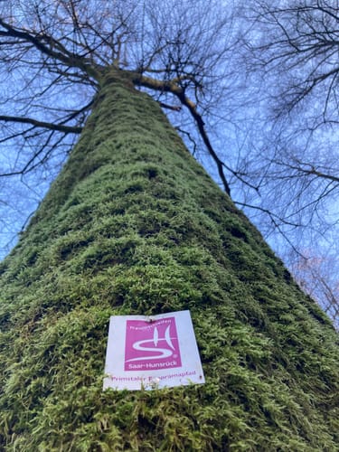 Primstaler Panoramapfad (Traumschleife)