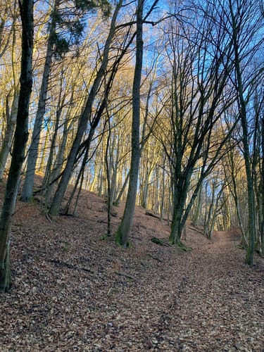 Primstaler Panoramapfad (Traumschleife)