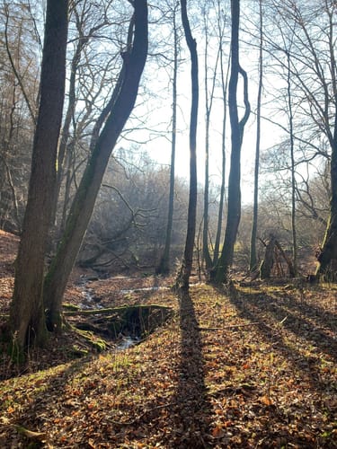 Primstaler Panoramapfad (Traumschleife)