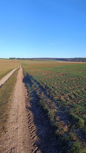 WiesenTour Maar (Premiumwanderweg)