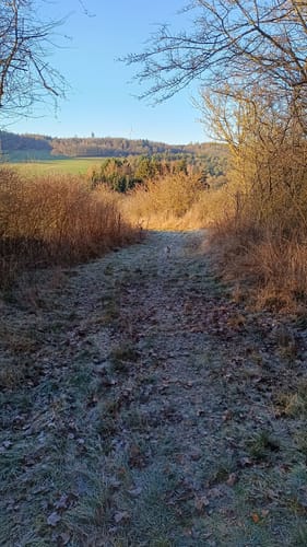 WiesenTour Maar (Premiumwanderweg)