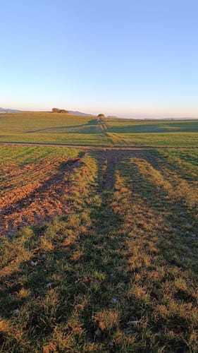WiesenTour Maar (Premiumwanderweg)
