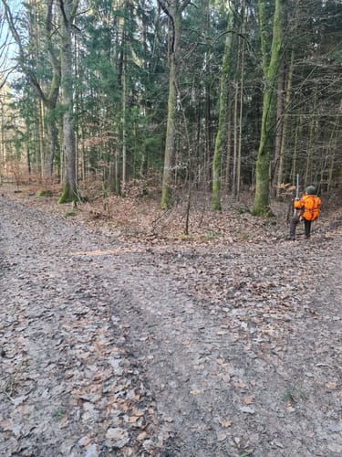 Romantische Straße Etappe 9: Schillingsfürst - Feuchtwangen
