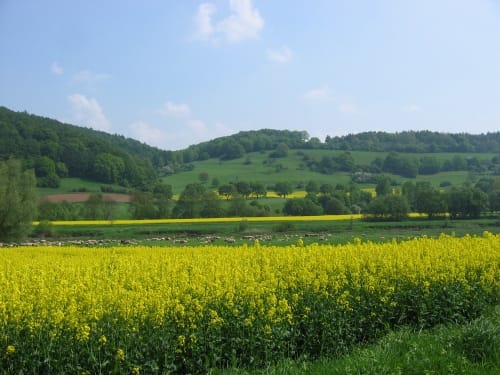 Weserradweg Etappe 3: Hameln - Minden