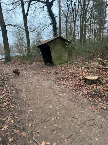 Jammertal Rundweg ab Katenkreuz Parkplatz