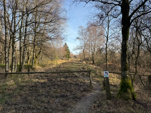 Brackvenn und Imgenbroicher Venn [CLOSED]