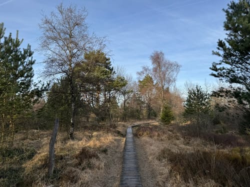 Brackvenn und Imgenbroicher Venn [CLOSED]