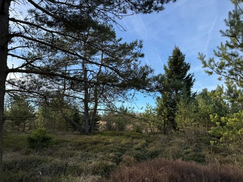 Brackvenn und Imgenbroicher Venn [CLOSED]
