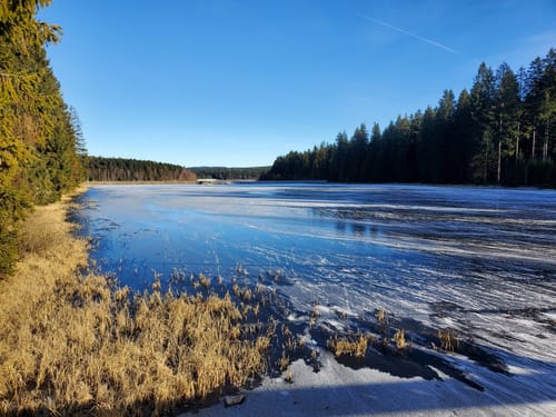 Talsperre Muldenberg