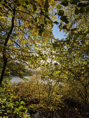 Um den Kleinen und Großen Schierensee
