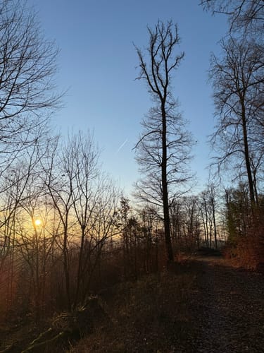 Münchweiler an der Rodalb Höhenwanderweg