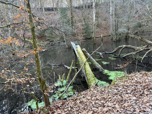 Münchweiler an der Rodalb Höhenwanderweg