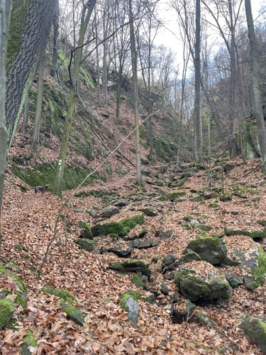 Rabenauer Grund - Somsdorf - Tharandt