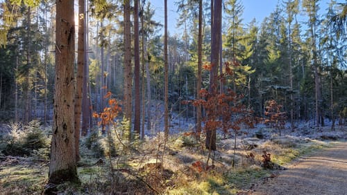 Ungerthal: Rundwanderung Quellen-Weg