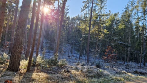 Ungerthal: Rundwanderung Quellen-Weg