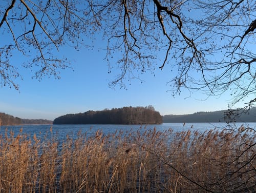 Um den Liepnitzsee