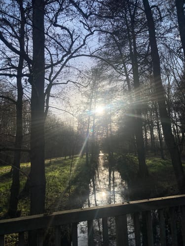Volksgarten Rundweg A1