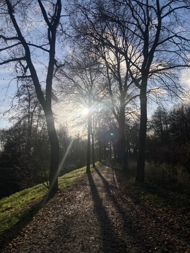 Volksgarten Rundweg A1